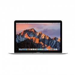 Apple 12" MacBook (Mid 2017, Space Gray)