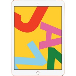 Apple 10.2" iPad (Late 2019, 32GB, Wi-Fi + 4G LTE, Gold)